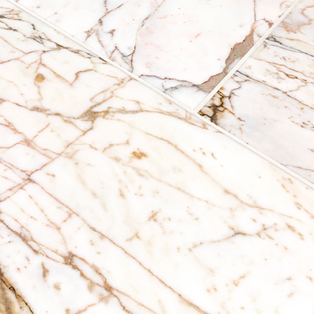 Field Tile 12" x 24" 12" x 24"