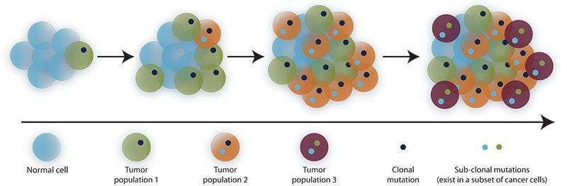 figure1.jpg