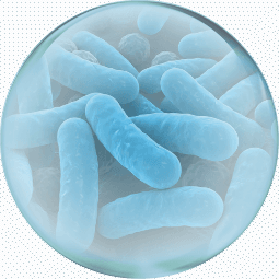 microbiome-1.png