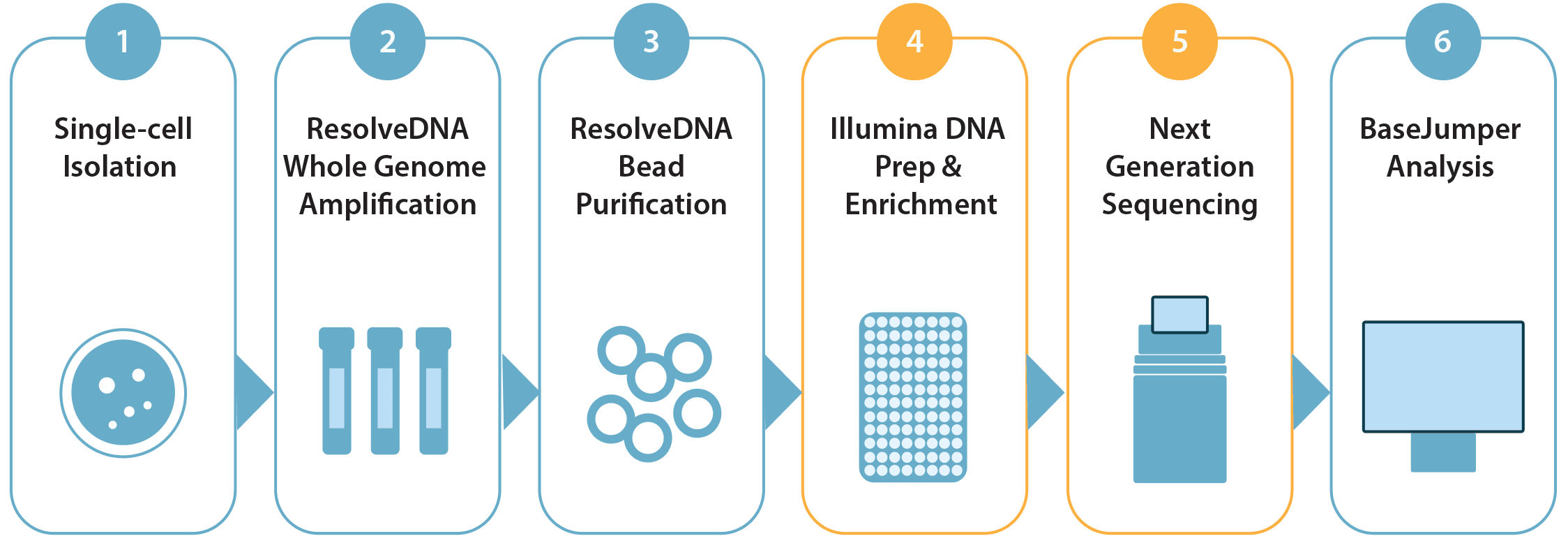 figure-2.png