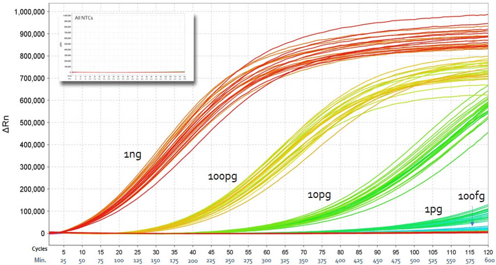 figure-2-real-time.jpg