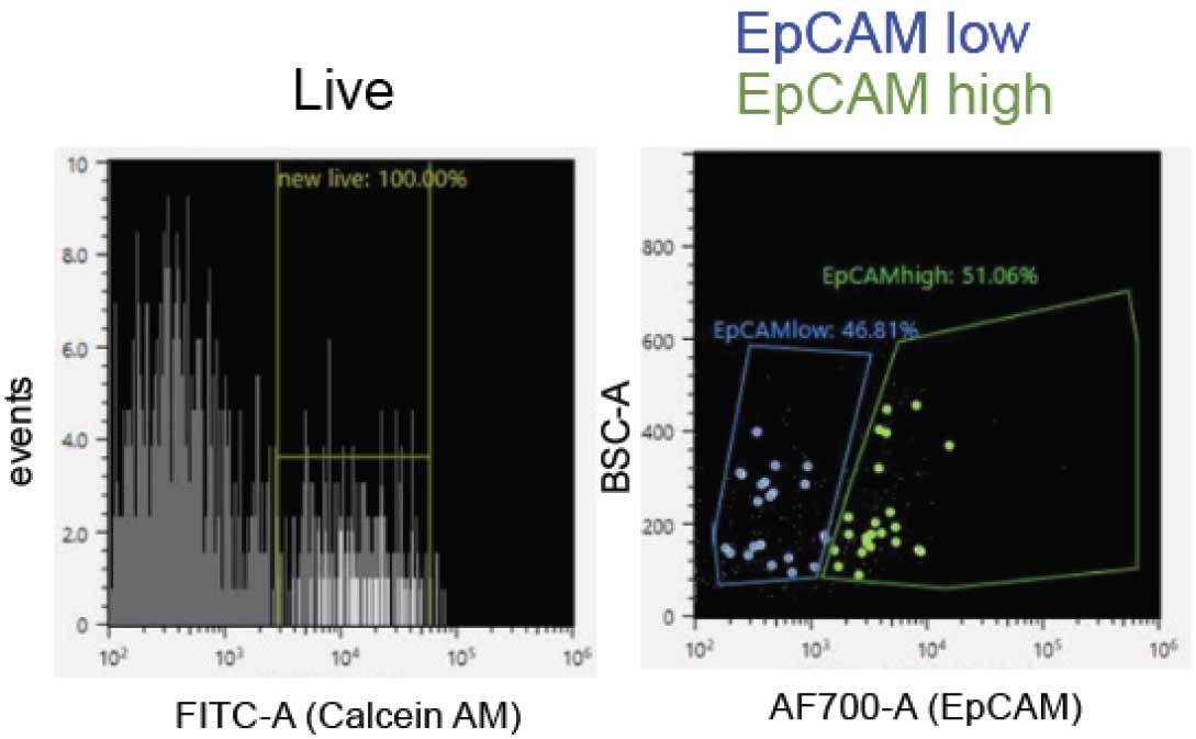 epcam.jpg