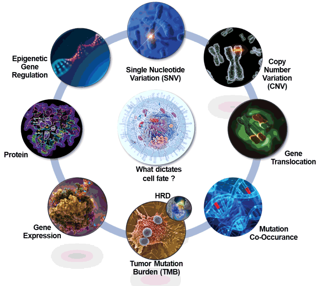 Resolveome Comprehensive Multi Omic Single Cell Analysis