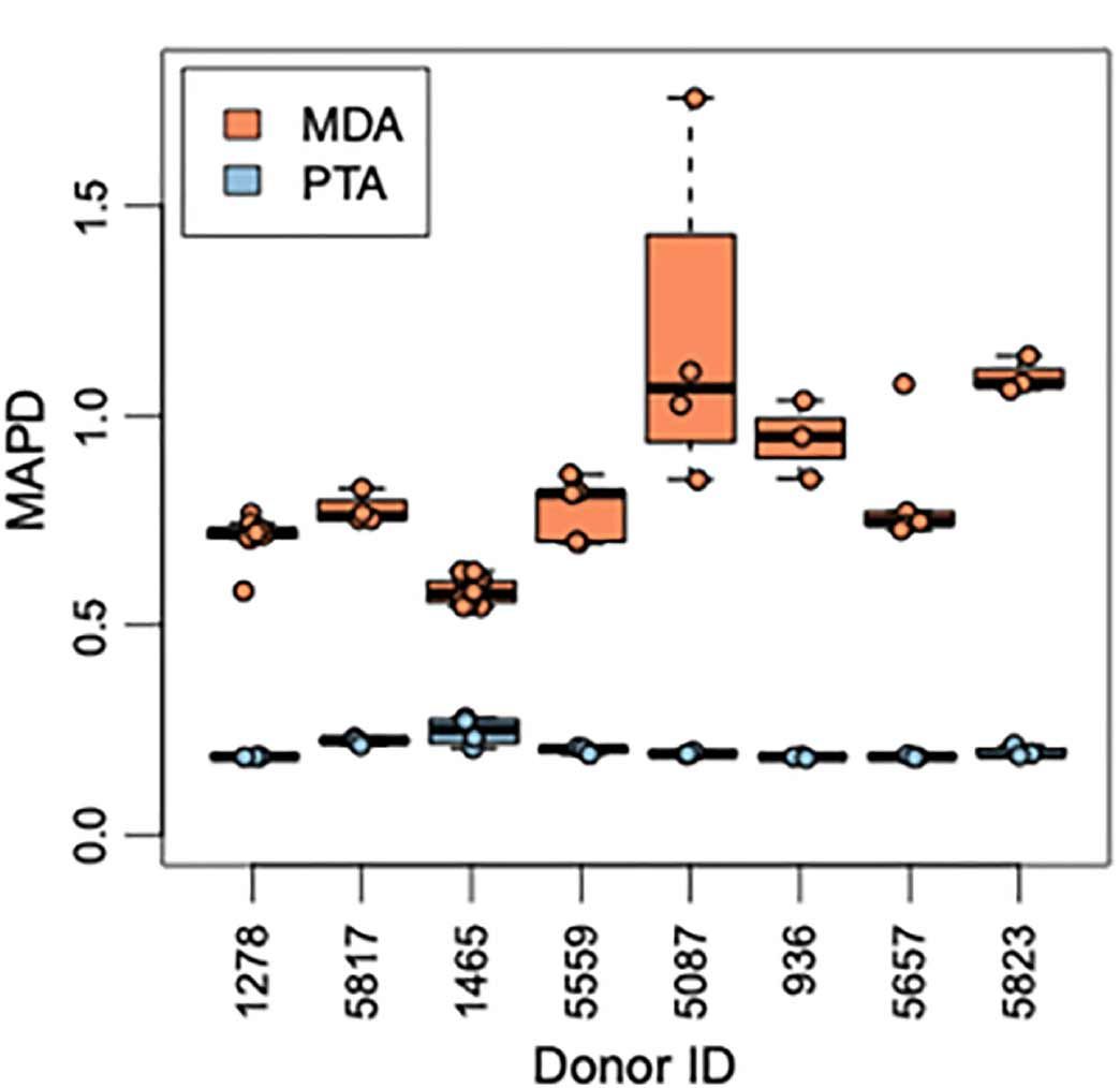 mda-pta-image-2.jpg