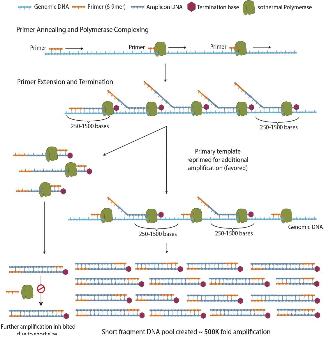 genomic-dna-image.jpg