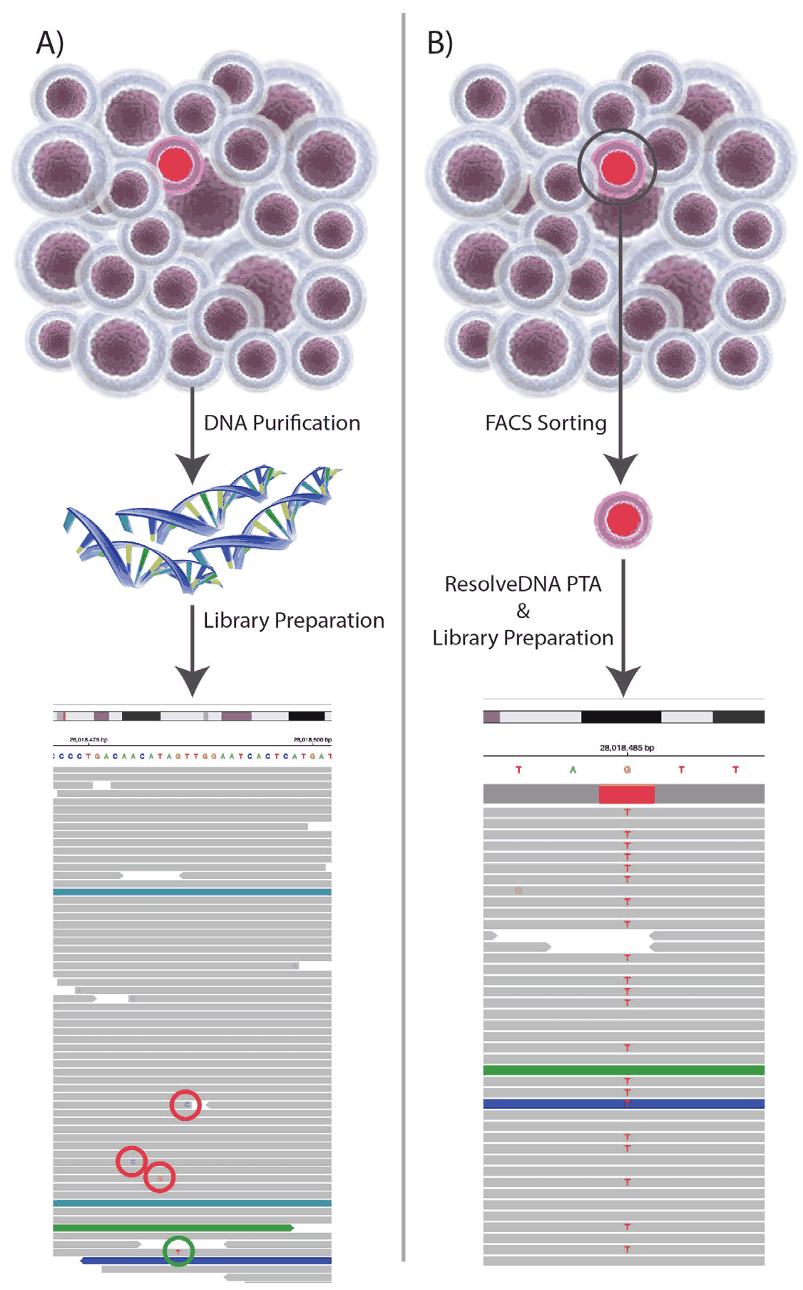 figure-3 (2).png