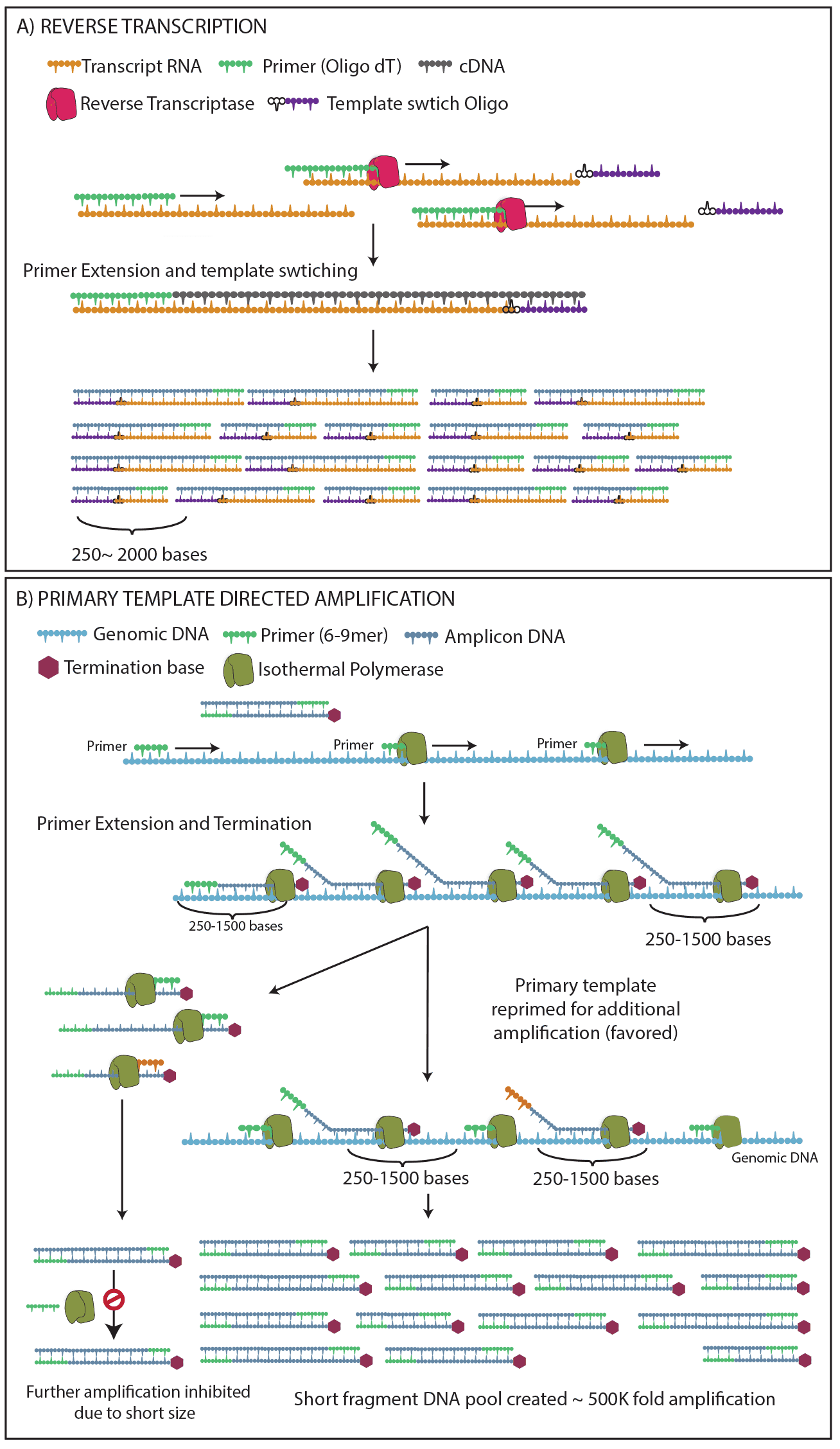 ResolveOME Comprehensive Multiomic SingleCell Analysis