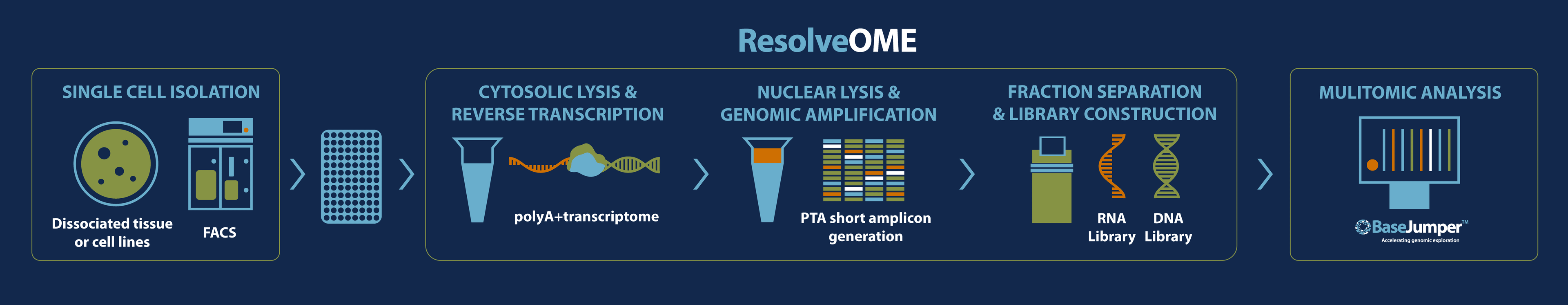 ResolveOME-Flow-Wide (2).png