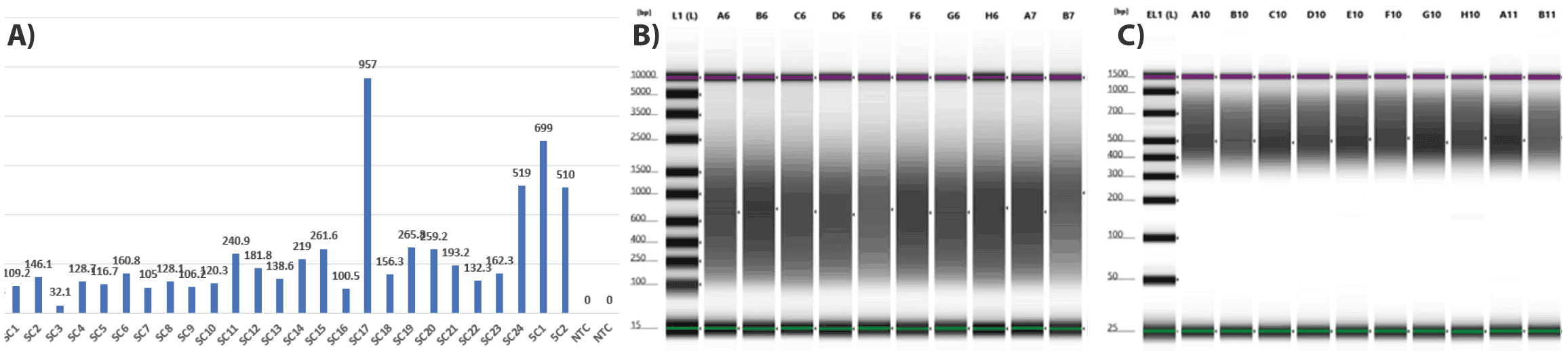 figure-3-rd (1).png