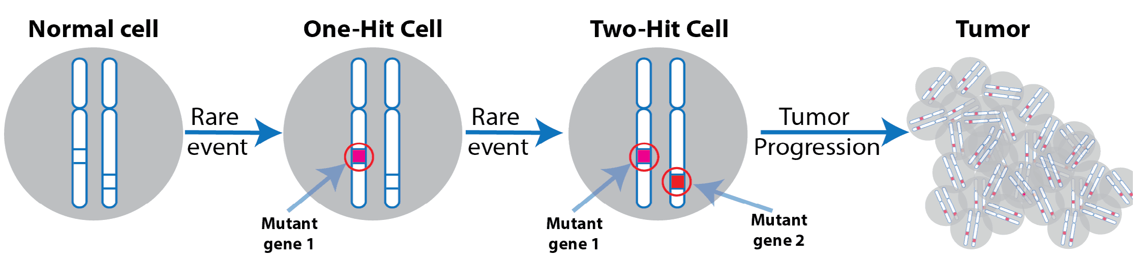 figure-8 (1).png