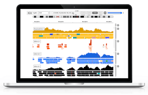 macbook-igv-mockup_small.png